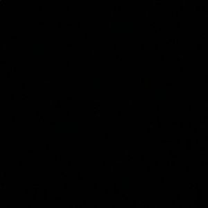 Meet your Posher, Rolynn